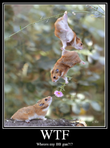 25c2f917d8f3166a050086ba7bfaeac2 WTF Demotivational