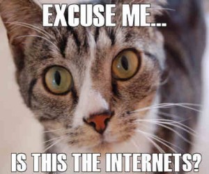 2f0e650cf767ddb263cb9903fd911886 I can has teh Internetz?