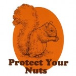 protect-your-nuts_ 38545ab5251d007710768b5a50ddbe14 Veverita si criza de inspiratie