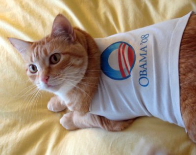 6528afe1ee10ee8674b18c42a5e99b02 & Obama Wins
