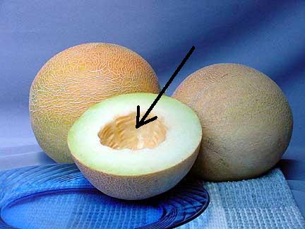 pepene-galben 8721cc554151b3785918c37676ee010b Pepene galben cu inghetata