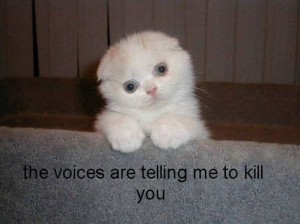 The voices are telling me to kill you The voices are telling me to kill you