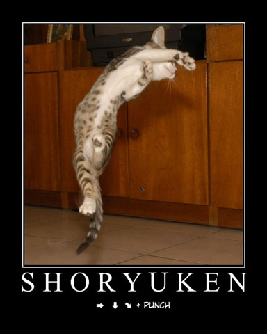 cdb6c28ed273266c49fda3cdc9633918 Shoryuken