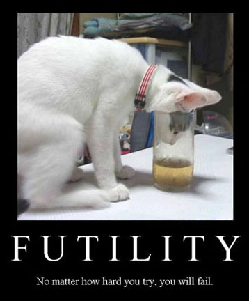ff1073dd716cbab4b1a245842c0dc92b Futility