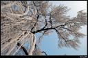 iarna ii.thumbnail Inca un weekend...