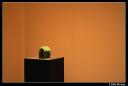 little house.thumbnail MNAC Mac Mac