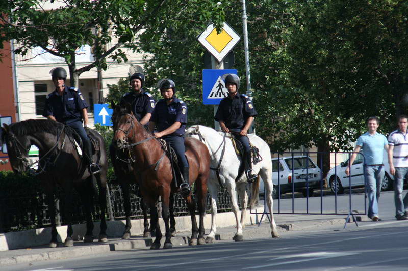 GayFest 2008 06 GayFest 2008 06