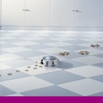 Reclama Whiskas whiskas 150x150 Prezervativele cu ciocolata!