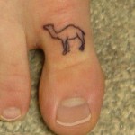 camel toe cameltoe 150x150 Camel.. toe!