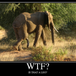 demotivational wtf 11 150x150 WTF Demotivational