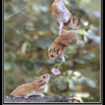 demotivational wtf 13 150x150 WTF Demotivational