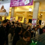 sofisticat expozitie de pisici 01 150x150 SofistiCat   Expozitie de pisici