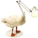 dead-duck-lamp dead duck lamp 150x150 Decorezi sau luminezi casa?