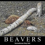 demotivational posters today 71 150x150 Demotivational Posters
