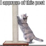 love cats 22 150x150 Matze de pe mail