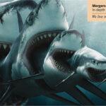 cool-advertising-065 cool advertising 065 150x150 Cool Advertising