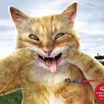 cool-advertising-067 cool advertising 067 150x150 Cool Advertising