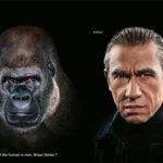 cool-advertising-086 cool advertising 086 150x150 Cool Advertising