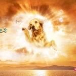 cool-advertising-089 cool advertising 089 150x150 Cool Advertising