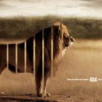 cool-advertising-139 cool advertising 139 150x150 Cool Advertising