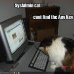 SysAdmin Cat 01 SysAdmin Cat 01 150x150 Dont hate the IT dudes