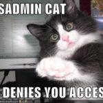SysAdmin Cat 02 SysAdmin Cat 02 150x150 Dont hate the IT dudes