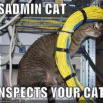SysAdmin Cat 03 SysAdmin Cat 03 150x150 Dont hate the IT dudes