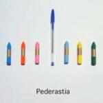 Sex si papetarie 14