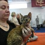 SofistiCAT 2010 21 SofistiCAT 2010 21 150x150 SofistiCAT 2010