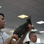 SofistiCAT 2010 23 SofistiCAT 2010 23 150x150 SofistiCAT 2010